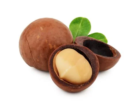 Macadamia nuts isolated on white background Stock Photos
