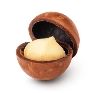 Macadamia nuts isolated on white background Stock Photos