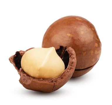 Macadamia nuts isolated on white background Stock Photos