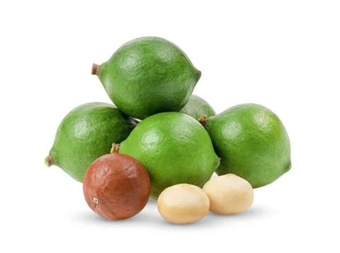 Macadamia nuts  isolated on white background Stock Photos