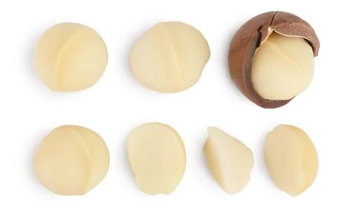 Macadamia nuts isolated on white background with clipping path and full depth of Stock Photos