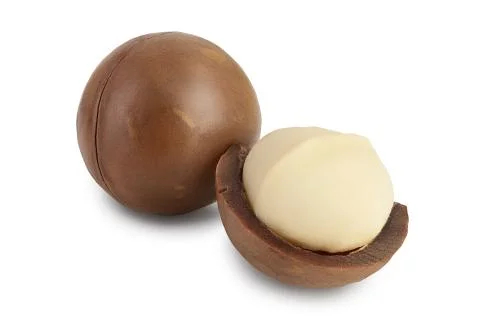 Macadamia nuts isolated on white background with clipping path and full depth of Stock Photos