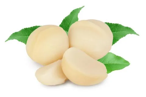 Macadamia nuts isolated on white background with clipping path and full depth of Stock Photos