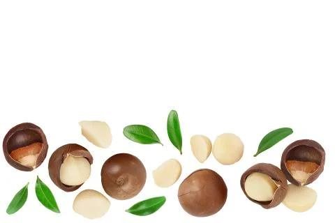 Macadamia nuts isolated on white background. Top view with copy space for your Stock Photos