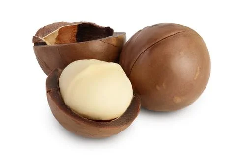 Macadamia nuts isolated on white background with clipping path and full depth of Stock Photos