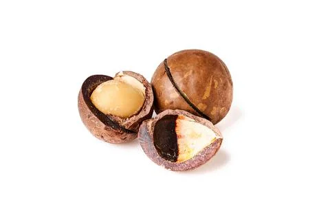 Macadamia nuts isolated on white background Stock Photos