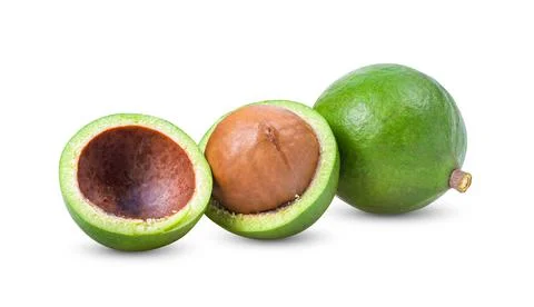 Macadamia nuts isolated on white background Stock Photos