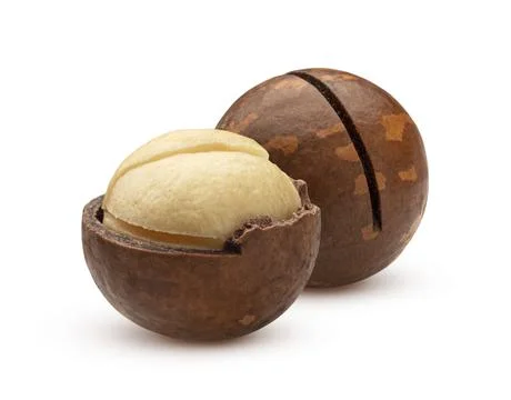Macadamia nuts isolated on white background Foto stock