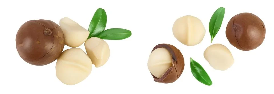 Macadamia nuts isolated on white background with full depth of field. Top view Stock Photos