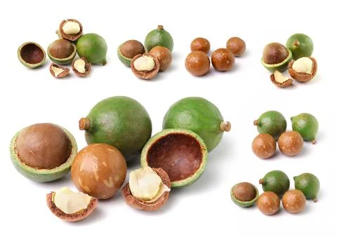 Macadamia nuts isolated on white background Stock Photos