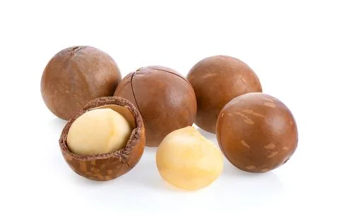 Macadamia nuts isolated on white background. Stock Photos