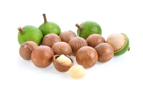 Macadamia nuts isolated on white background. Stock Photos