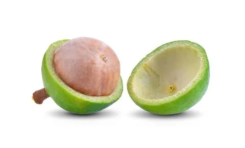 Macadamia nuts isolated on white background. Stock Photos