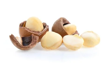 Macadamia nuts isolated on white background. Stock Photos