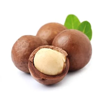 Macadamia nuts isolated on white backgrounds. Foto stock