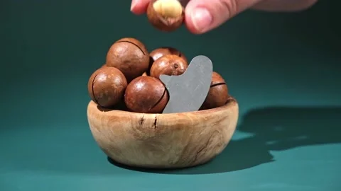 Macadamia nuts with a key on turquoise background Stock Footage 239851956