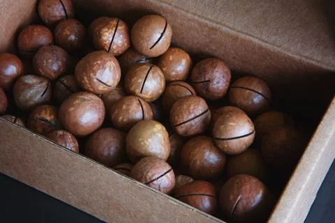 Macadamia nuts lay in the box Фото