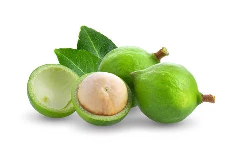Macadamia nuts with leaf isolated on white background. Stock Photos