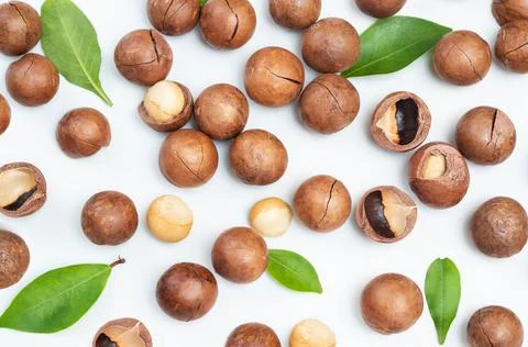 Macadamia nuts with leaves  flat lay Stock Photos