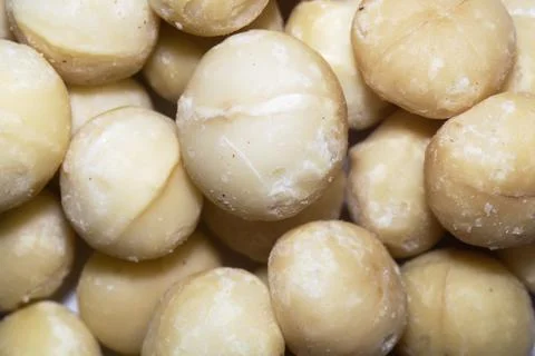 Macadamia nuts macro Stock Photos
