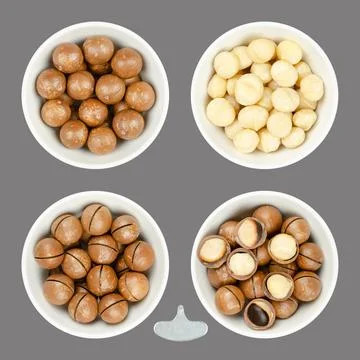 Macadamia nuts, in nutshells and shelled, in white bowls over gray Stock Photos