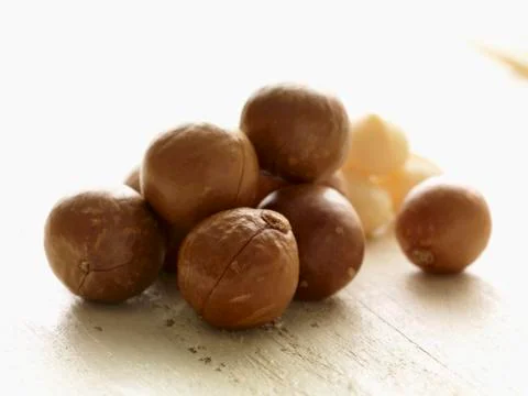Macadamia nuts Stock Photos