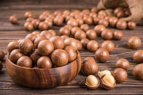 Macadamia nuts 写真素材