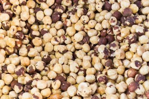 Macadamia nuts Photos