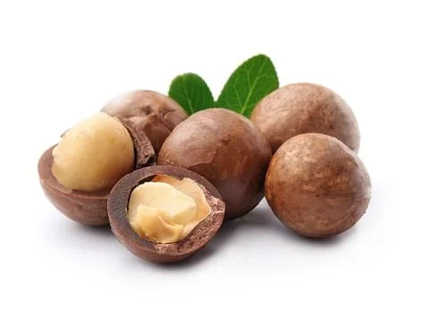 Macadamia nuts. Foto stock