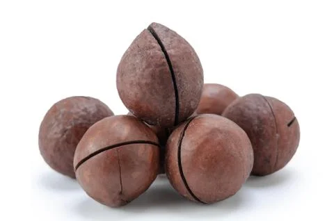 Macadamia nuts Stock Photos