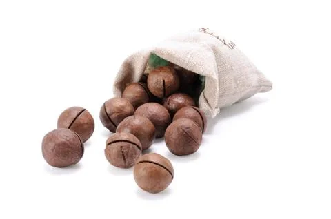 Macadamia nuts 스톡 사진