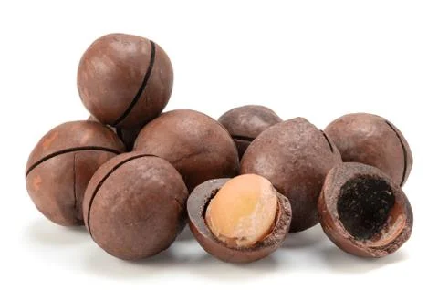 Macadamia nuts Stock Photos