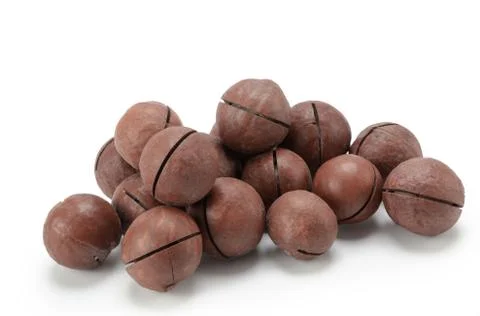 Macadamia nuts Stock Photos