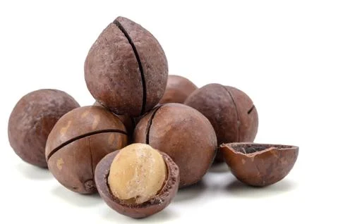 Macadamia nuts Stock Photos