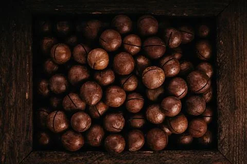 Macadamia nuts. Foto stock