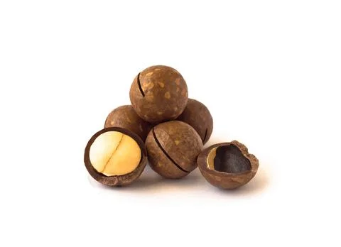 Macadamia nuts 스톡 사진