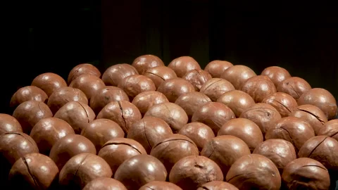 Macadamia Nuts Rotating on Black with Copy Space. Video stock 332836353