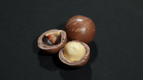 Macadamia Nuts Shell and Kernel on Black. Stockbeeldmateriaal 332835812