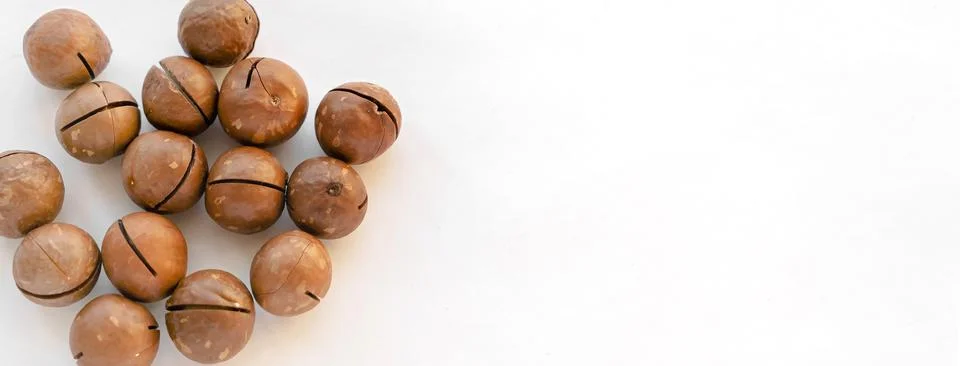 Macadamia nuts in the shell isolated on a white background close-up. Stock Photos