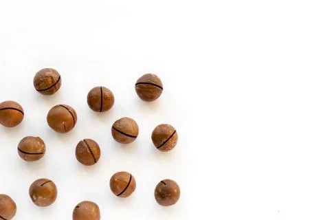 Macadamia nuts in the shell isolated on a white background close-up. Stock Photos