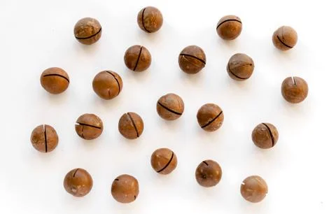 Macadamia nuts in the shell isolated on a white background close-up. Stock Photos