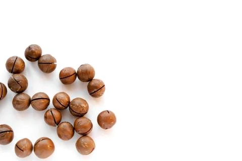 Macadamia nuts in the shell isolated on a white background close-up. Stock Photos