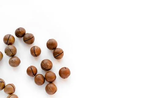 Macadamia nuts in the shell isolated on a white background close-up. Stock Photos