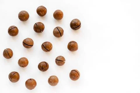 Macadamia nuts in the shell isolated on a white background close-up. Stock Photos
