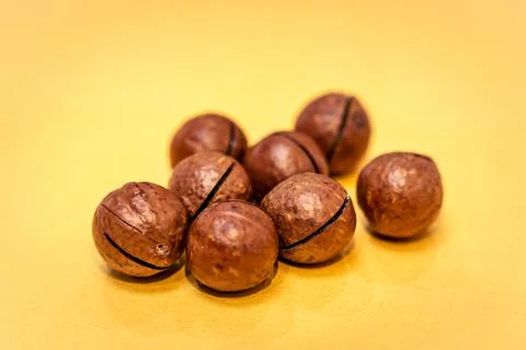 Macadamia nuts in a shell isolated on a yellow background Stock Photos