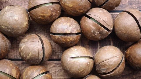 Macadamia Nuts In Shell With Natural Cracks On Wooden Surface Organic Snack Stock Footage 339258057