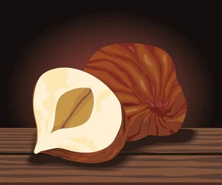 Macadamia nuts in table Stock Illustration
