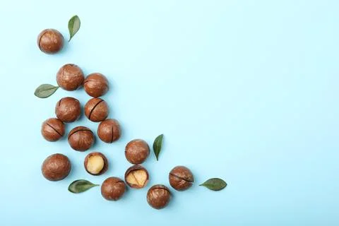 Macadamia nuts on the table Stock Photos