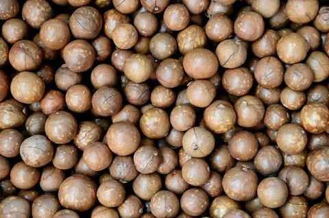 Macadamia nuts texture background, fresh natural shelled raw macadamia nuts.. Stock Photos