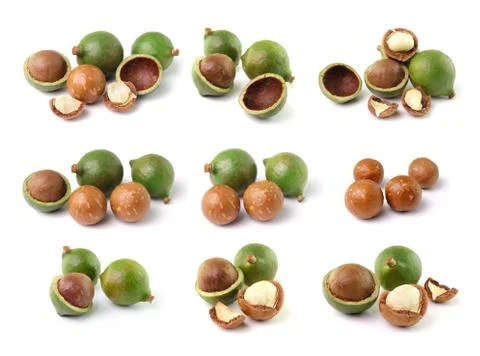 Macadamia nuts on white background Stock Photos